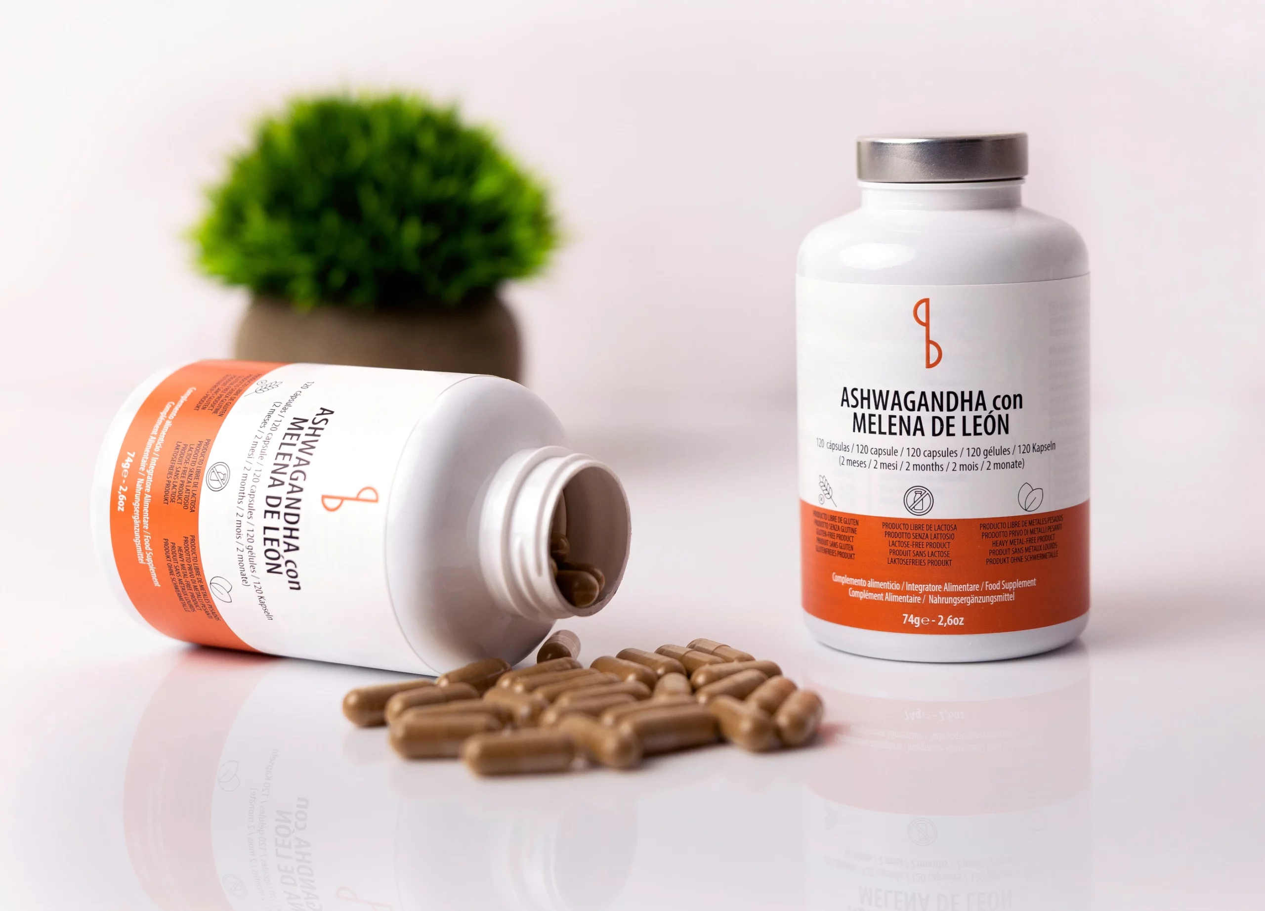 Ashwagandha con Melena de León - Imagen 4